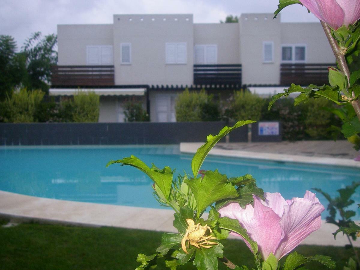 Сasa de vacaciones House Palmeiras *